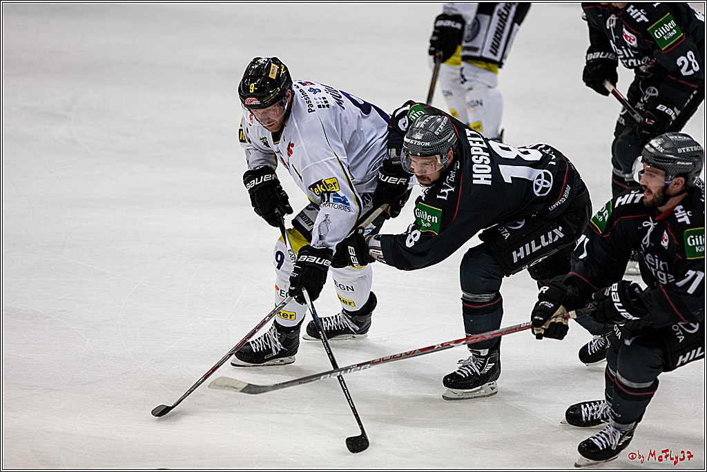Koelner Haie - Krefeld Pinguine , 23.09.16(KW38)